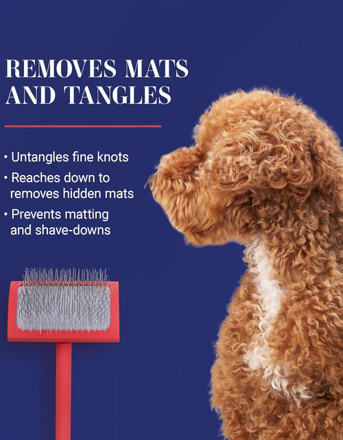 Load image into Gallery viewer, Big G Dog Slicker Brush for Dogs (Goldendoodles, Labradoodles, Poodles), Groom like a Professional, Fluff Detangle Style, Saves Time Energy, Coral, Large
